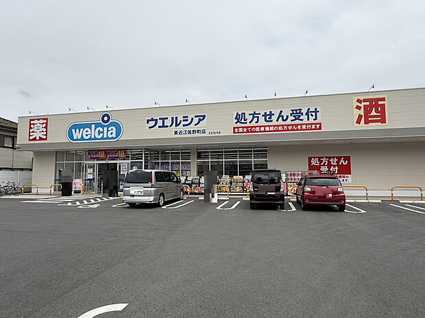 ウェルシア東近江佐野町店(約1,100m)