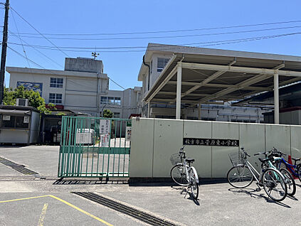 枚方市立杉中学校 1200m