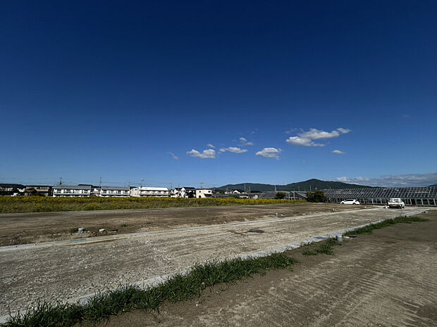 2025年10月中旬現地撮影