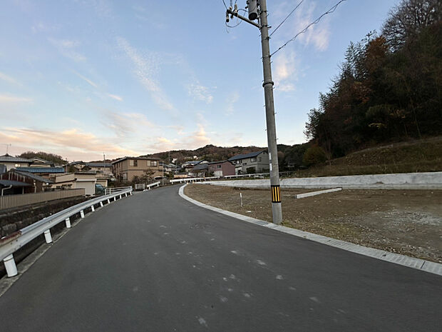 2025年12月中旬撮影　