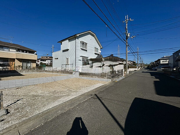 2026年1月中旬撮影　