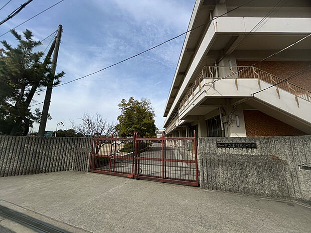 市立東羽衣小学校（約720m）