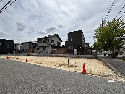 2026年6月下旬現地撮影