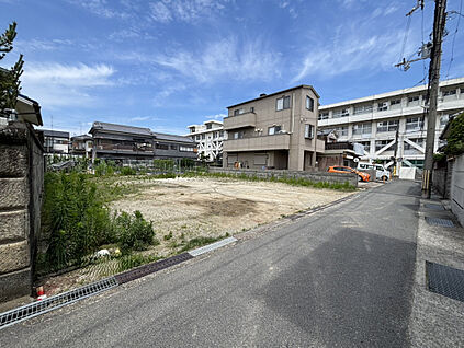 2026年6月上旬現地撮影