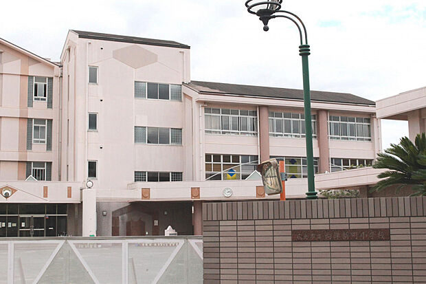 向洋新町小学校（約600m）