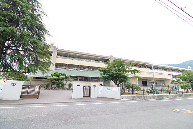 阿賀中学校（約270m）