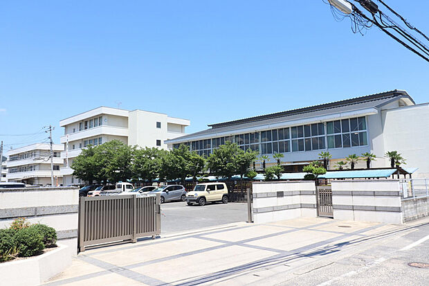 竜操中学校(約800m)