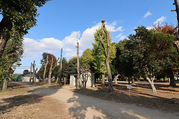 当新田公園（約170m）