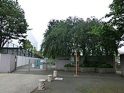 西武池袋線「大泉学園」駅 バス乗車16分、都民農園バス停下車 徒歩10分