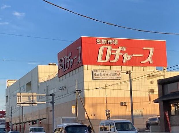 ロヂャース 新座店(約550m)