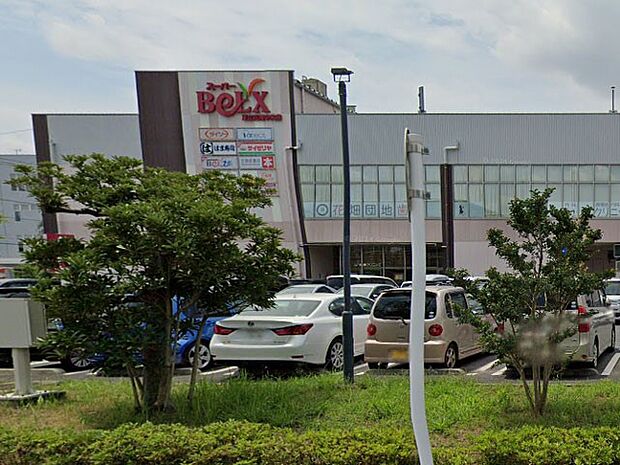 ベルクスモール足立花畑中央（約800m・徒歩10分）