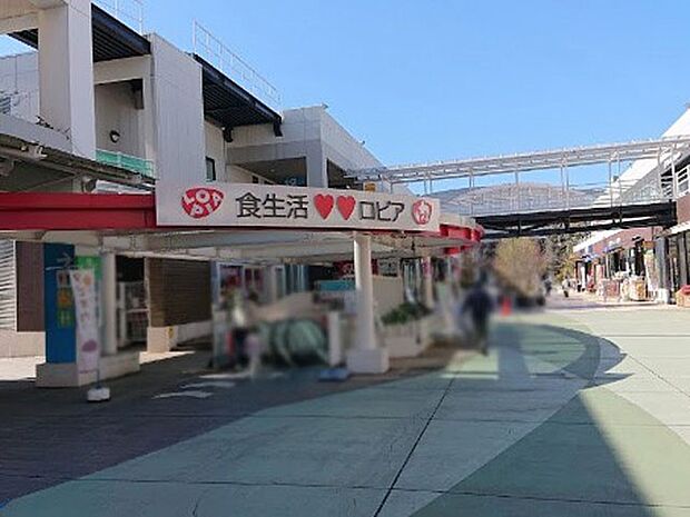 ロピア ふじみ野店(約5,400m・徒歩68分)
