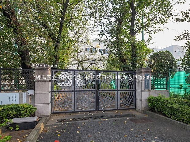 練馬区立田柄中学校(約300m)