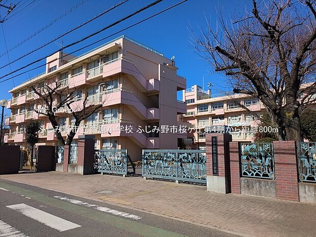 ふじみ野市立西原小学校（約800m）