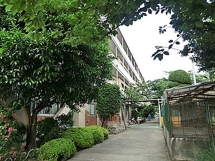戸田市立喜沢小学校 700m