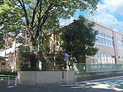 杉並区立桃井第四小学校 480m