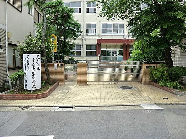 足立区立千寿青葉中学校（約800m・徒歩10分）