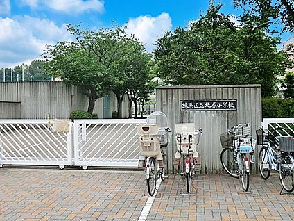 練馬区立北原小学校 240m(3分)