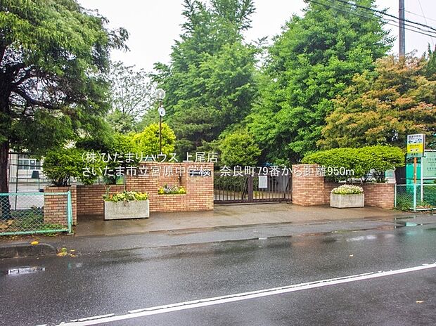 さいたま市立宮原中学校(約950m)