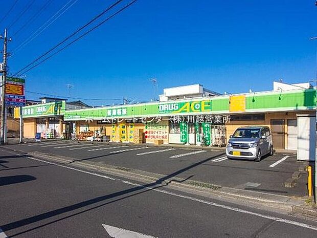 ドラッグ・エース新河岸店(約565m)
