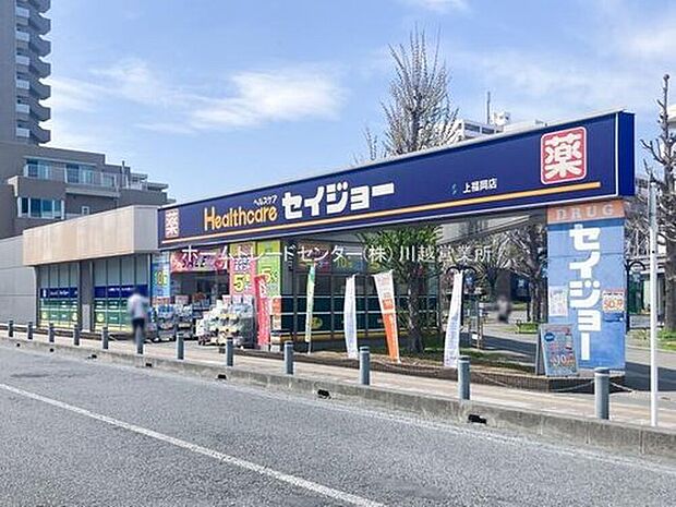 くすりセイジョー上福岡店(約846m)
