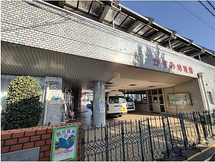 かすみ幼稚園 1187m (徒歩15分・自転車5分)