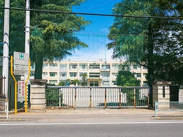 川越市立霞ケ関小学校（約558m）