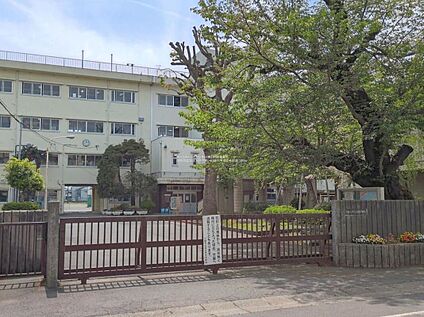 川越市立富士見中学校 1500ｍ(徒歩19分)