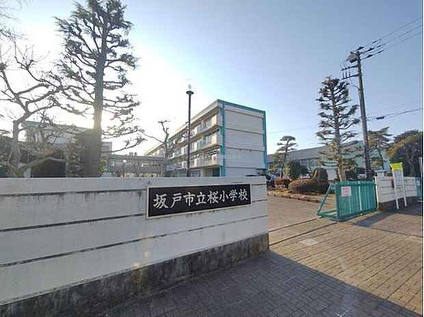 坂戸市立桜小学校(約500m)