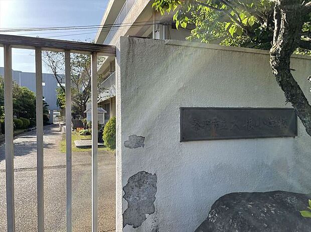 秦野市立大根小学校