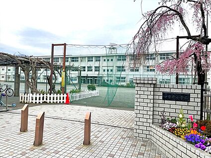 伊勢原市立伊勢原小学校 約1,200m