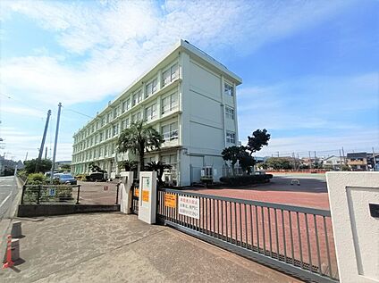 平塚市立なでしこ小学校 約550m