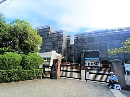 塚市立太洋中学校 約350m