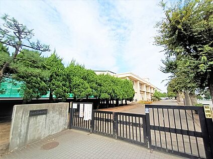 平塚市立江陽中学校 約1,300m