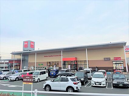 ベルク 伊勢原白根店 約800m