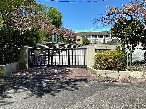 市川市立第二中学校（約150m）