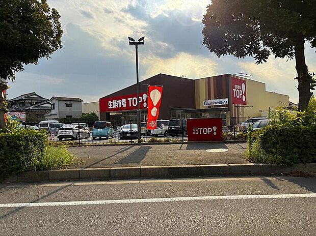 生鮮市場TOP 松戸古ヶ崎店(約580m)