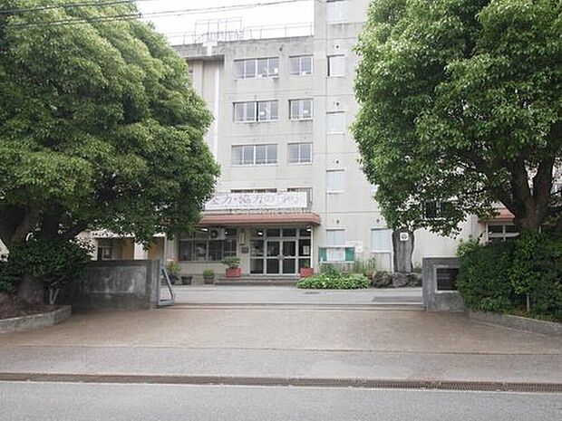 松戸市立和名ケ谷中学校(約830m)