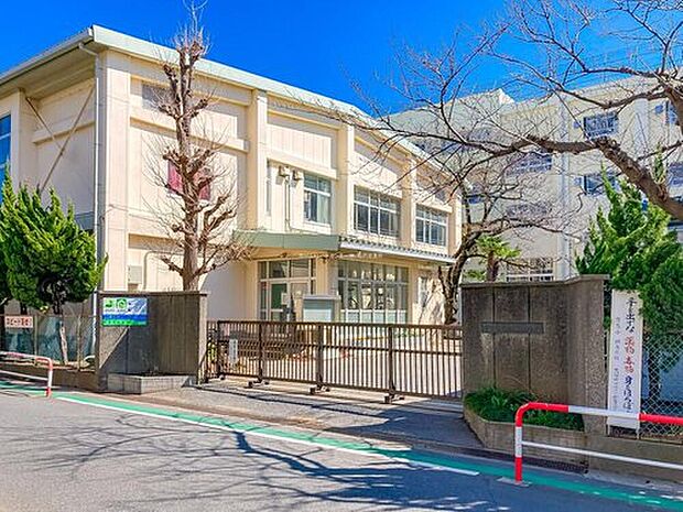 市川市立信篤小学校(約1,000m)