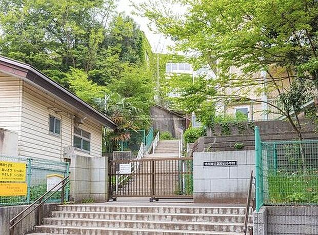 市川市立国府台小学校（約200m）