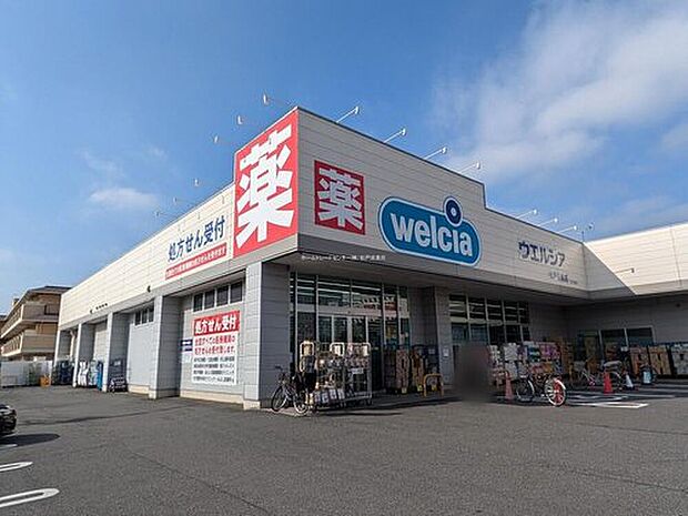 ウエルシア松戸五香店（約280m）