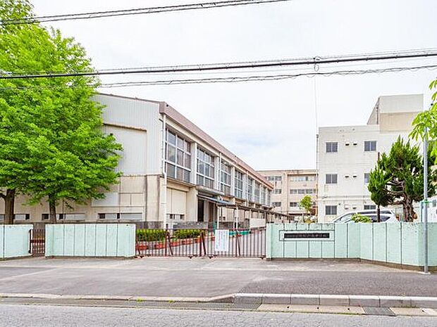 松戸市立新松戸南中学校（約481m）