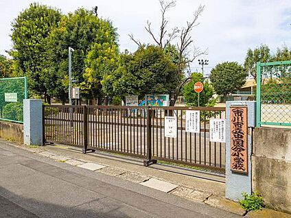 市川市立中国分小学校 800m(徒歩10分)