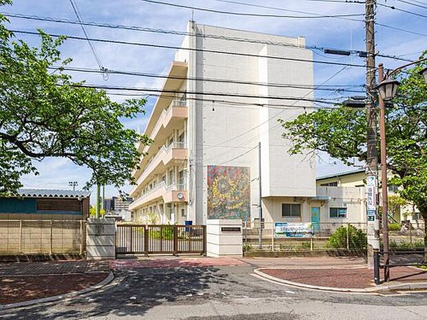 市川市立曽谷小学校（約320m）