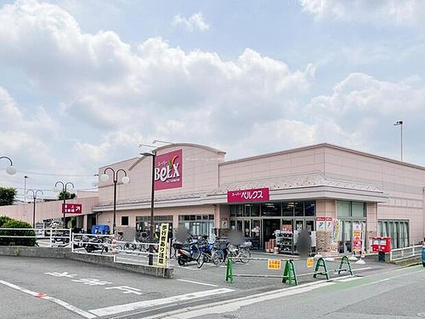 ベルクス市川堀之内店(約1,158m)