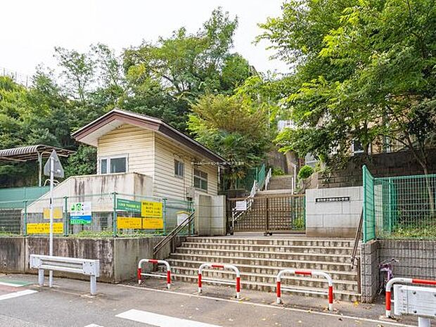 市川市立国府台小学校(約650m)