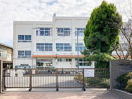 市川市立南新浜小学校 1000m(徒歩13分)