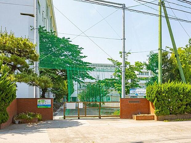 市川市第七中学校（約1,500m）