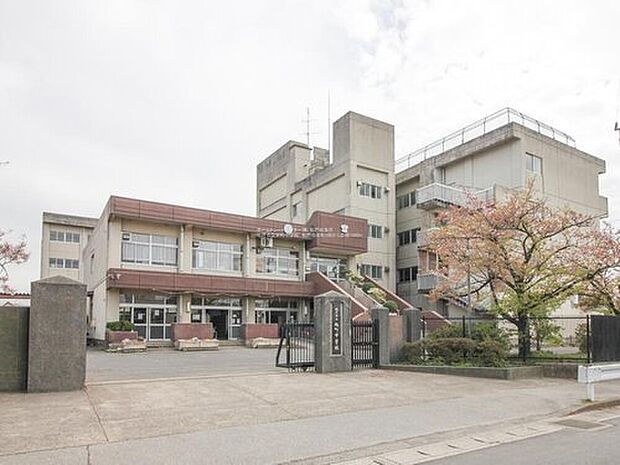 松戸市立旭町中学校(約800m)