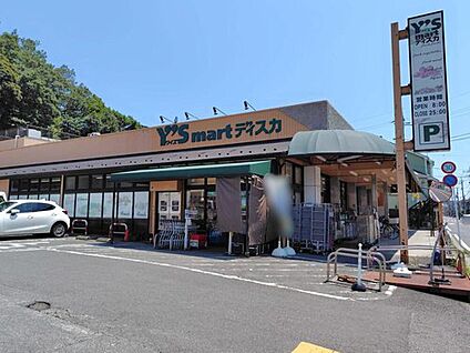 ワイズディスカ大野店 1296m(徒歩17分／自転車6分)